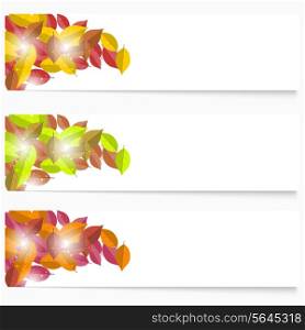Set of three autumn flyers. Green and yellow autumn foliage. Vector illustration.