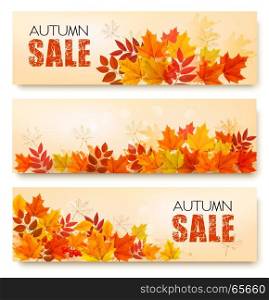 Set Of Three Autumn Sale Banners With Colorful Leaves And Berries. Layered Vector