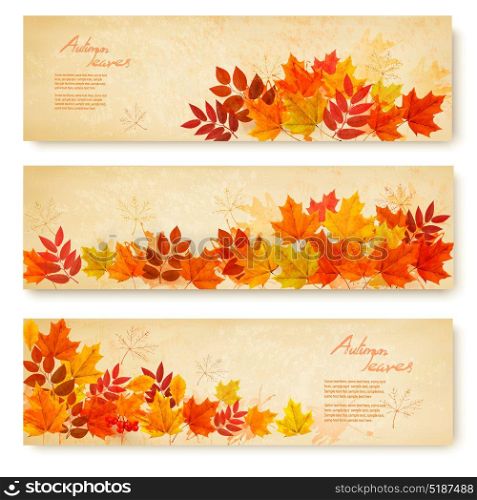 Set of three nature banners with colorful autumn leaves. vector