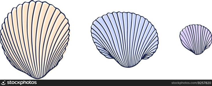 Set of three seashells in a line hand drawn Vector Image