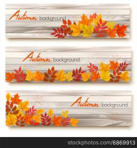 Set of three vector banners with colorful autumn leaves.