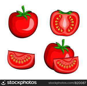 Set of tomato vegetables half and slice. Hand draw vector Illustration, eps 10