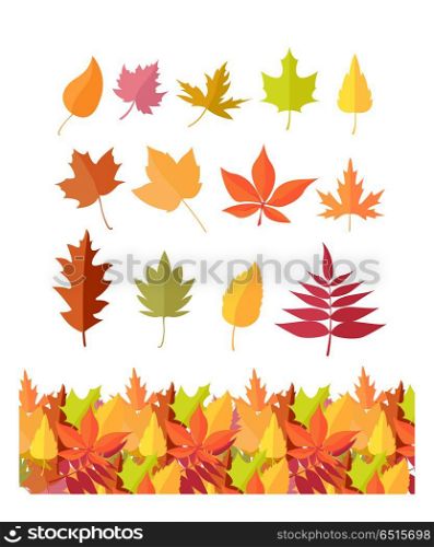 Set of Tree Leaf Icons. Autumn Leaves Isolated. Set of tree leaf icons. Autumn leaves of different colors. Maple, oak, birch, sakura, willow, poplar vector leaves illustration. Fall concept. Leaf isolated, falling autumn leaves, plant background
