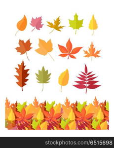 Set of Tree Leaf Icons. Autumn Leaves Isolated. Set of tree leaf icons. Autumn leaves of different colors. Maple, oak, birch, sakura, willow, poplar vector leaves illustration. Fall concept. Leaf isolated, falling autumn leaves, plant background
