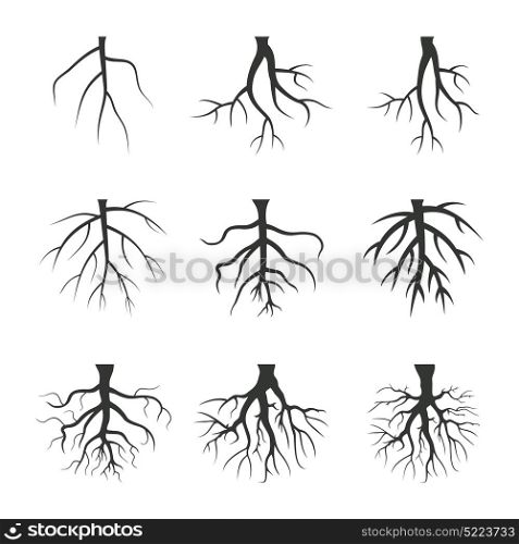 Set of tree roots. Vector illustration