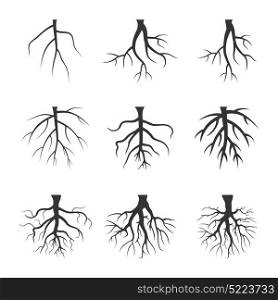 Set of tree roots. Vector illustration