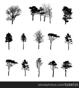 Set of Tree Silhouette Isolated on White Backgorund. Vecrtor Illustration. Set of Tree Silhouette Isolated on White Backgorund. Vecrtor Ill