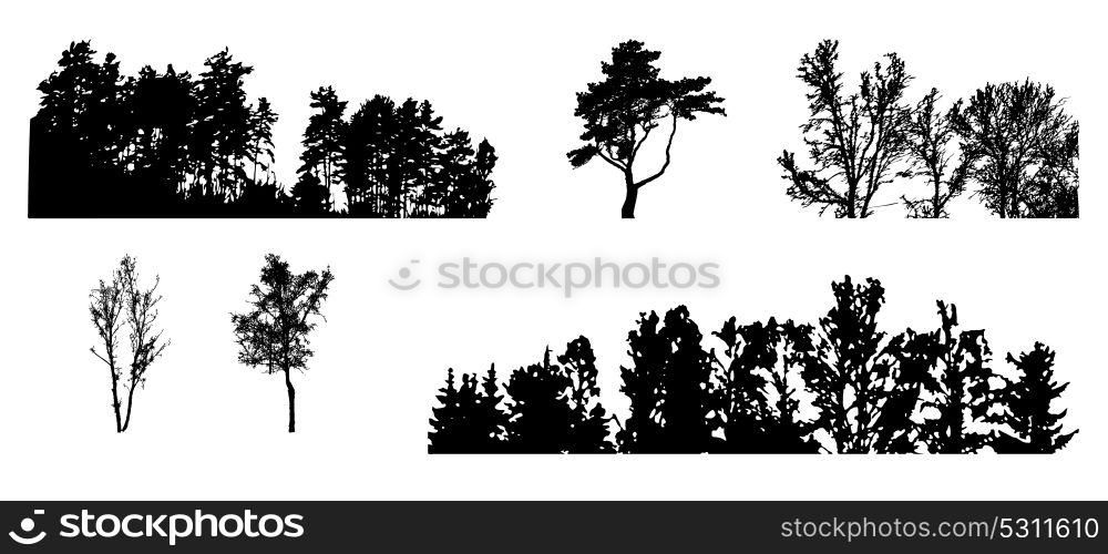 Set of Tree Silhouette Isolated on White Backgorund. Vecrtor Illustration. EPS10. Set of Tree Silhouette Isolated on White Backgorund. Vecrtor Ill
