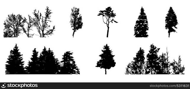 Set of Tree Silhouette Isolated on White Backgorund. Vecrtor Illustration. EPS10. Set of Tree Silhouette Isolated on White Backgorund. Vecrtor Ill