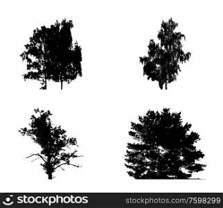 Set of Tree Silhouette Isolated on White Backgorund. Vecrtor Illustration. EPS10. Set of Tree Silhouette Isolated on White Backgorund. Vecrtor Illustration
