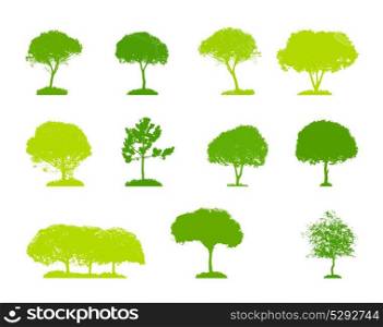 Set of Tree Silhouette Isolated on White Backgorund. Vector Illustration.. Set of Tree Silhouette Isolated on White Backgorund. Vector Illu