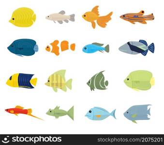Set of Tropical Fish on white background. Vector illustration