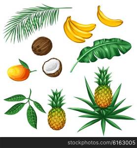 Set of tropical fruits and leaves. Objects for decoration, design on advertising booklets, packaging, menu, flayers.