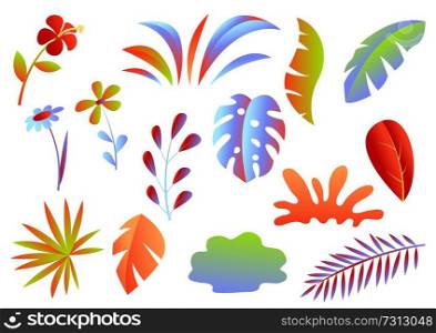 Set of tropical leaves and flowers. Decorative exotic foliage and plants.. Set of tropical leaves and flowers.
