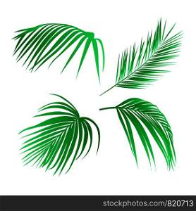 Set of tropical leaves. Palm leaves. Vector illustration with isolated design elements. Set of tropical leaves. Palm leaves