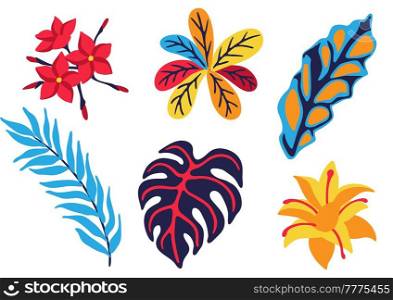 Set of tropical plants. Exotic decorative flowers anf leaves. Stylized image for design.. Set of tropical plants. Exotic decorative flowers anf leaves.