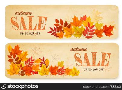 Set of two autumn sale banners with colorful leaves and berries. Vector