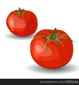 Set of Two Beautiful Glossy Red Tomatoes over White Background. Cute Icons Suitable For Creating Food, Fall, Thanksgiving Day, Harvest Day Designs. Vector Illustration.