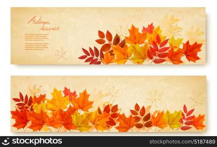 Set of two nature banners with colorful autumn leaves. vector