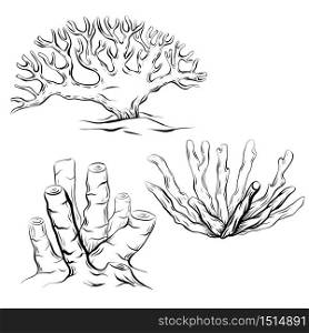 Set of various black and white contour cartoon corals. The object is separate from the background. Linear illustration for printing on T-shirts, covers, sketches of tattoos and your design.. Set of various black and white contour cartoon corals. The object is separate from the background.