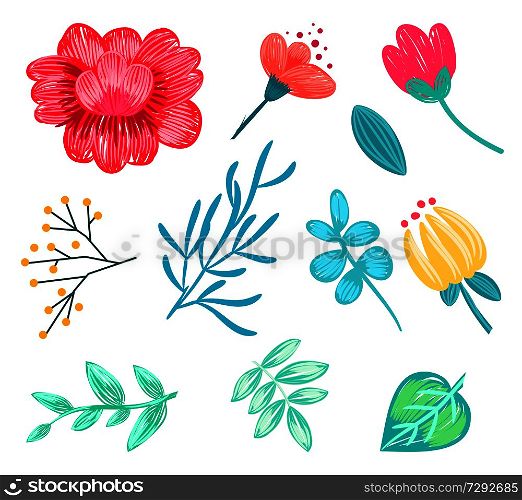 Set of various floral icons, that may be used in decor as decorative elements, patterns on vector illustration isolated, on white background. Set of Various Floral Icons on Vector Illustration