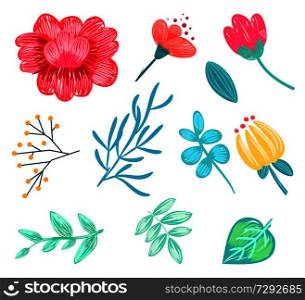 Set of various floral icons, that may be used in decor as decorative elements, patterns on vector illustration isolated, on white background. Set of Various Floral Icons on Vector Illustration