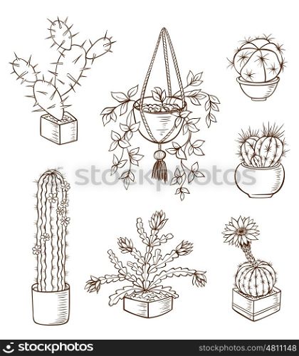 Set of various houseplants on a white background. Hand drawn vector illustration.
