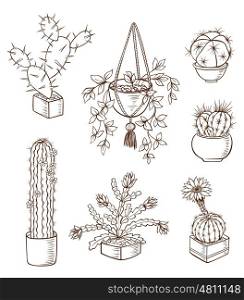 Set of various houseplants on a white background. Hand drawn vector illustration.