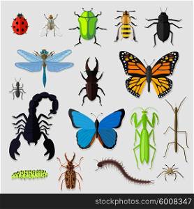 Set of various insects design flat. Bug and butterfly, ant and bee, spider and fly, ladybug and dragonfly, grasshopper wildlife, creature cockroach illustration