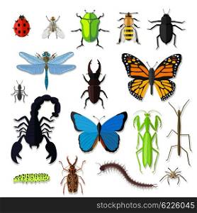 Set of various insects design flat. Bug and butterfly, ant and bee, spider and fly, ladybug and dragonfly, grasshopper wildlife, creature cockroach isolated on white background. Vector illustration