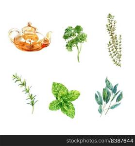 Set of various isolated herbal tea collection illustration on white background.