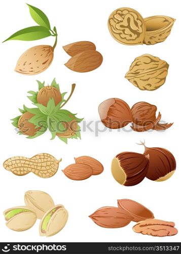set of various nuts