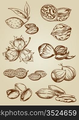 set of various nuts in retro style