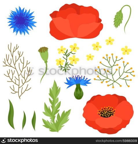 Set of various spring flowers, leaves. Elements for decoration and design.