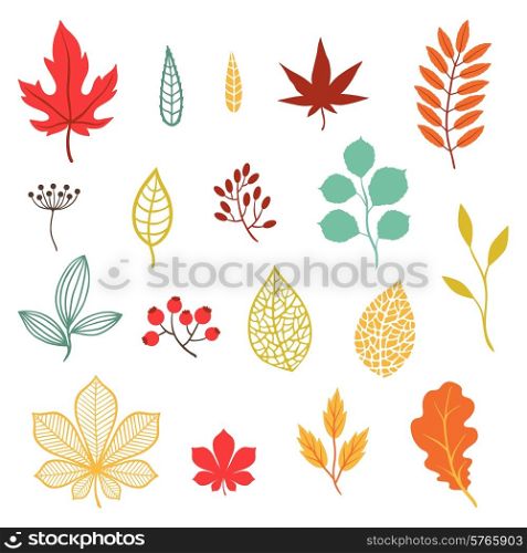 Set of various stylized autumn leaves and elements.