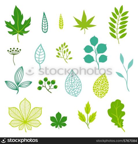 Set of various stylized green leaves and elements.