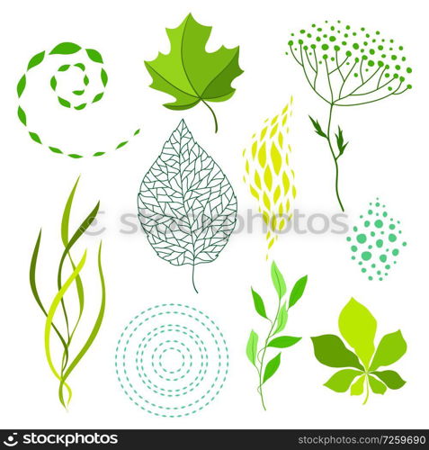 Set of various stylized green leaves and elements. Nature illustration.. Set of various stylized green leaves and elements.