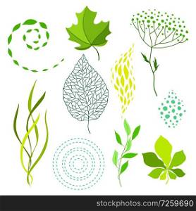 Set of various stylized green leaves and elements. Nature illustration.. Set of various stylized green leaves and elements.