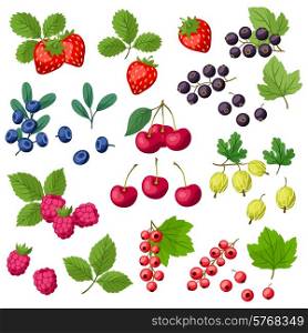 Set of various stylized ripe fresh berries.
