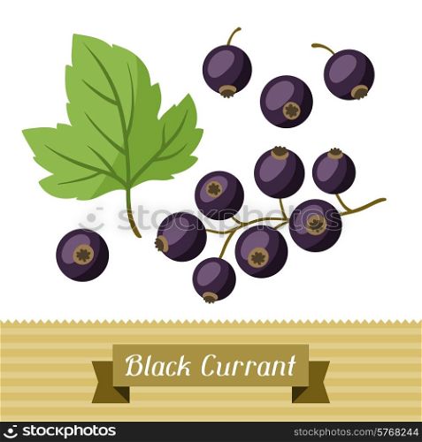 Set of various stylized ripe fresh black currants.