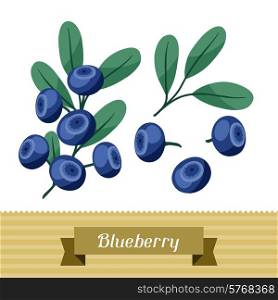 Set of various stylized ripe fresh blueberries.