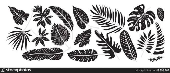 Set of various tropical palm leaves. Black silhouettes of tropical plants. Monstera and palm jungle leaves, exotic foliage, decorative natural plant collection. Hand drawn vector flat illustration