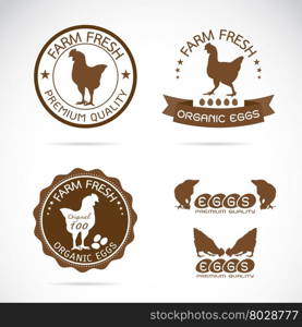 Set of vector an chicken and eggs label on white background, Logo, Symbol