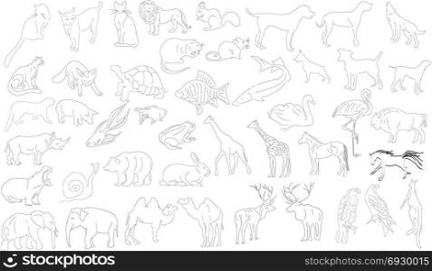 Set of vector animals, rough outlines