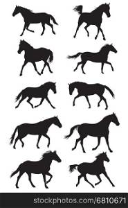 Set of vector black trotting horses silouettes on white background