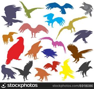 Set of vector colorful cut out flying and sitting silhouettes of american eagle (white-tailed eagle, bald eagle) isolated on white background