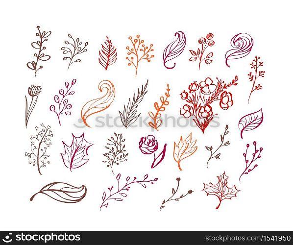 Set of vector doodle floral elements. Autumn collection. Flower graphic design. Herbs, leaves, boots, cup and wild flowers. Hand drawn vector botany texture. Modern fall seasonal decor.. Set of vector doodle floral elements. Autumn collection. Flower graphic design. Herbs, leaves, boots, cup and wild flowers. Hand drawn vector botany texture. Modern fall seasonal decor