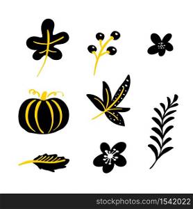 Set of vector doodle floral elements. Autumn collection. Herbs, leaves, pumpkin and wild flowers. Flower graphic design. Hand drawn vector botany texture. Modern fall seasonal decor.. Set of vector doodle floral elements. Autumn collection. Herbs, leaves, pumpkin and wild flowers. Flower graphic design. Hand drawn vector botany texture. Modern fall seasonal decor