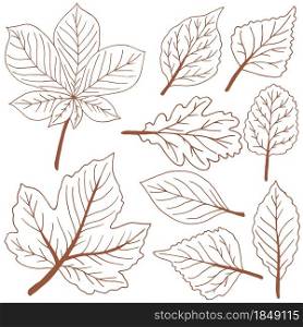 Set of vector drawings. Collection of brown autumn leaves. Outline drawing. Set of vector drawings. Good for autumn design