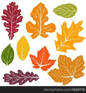 Set of vector drawings. Collection of colorful autumn leaves isolated on a white background. Good for social networks, advertising. Cartoon style. Set of vector drawings. Good for autumn design